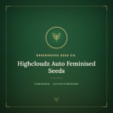 Highcloudz Auto Feminised Seeds Highcloudz Auto Feminised Seeds