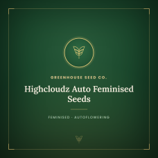 Highcloudz Auto Feminised Seeds