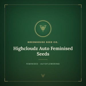 Highcloudz Auto Feminised Seeds