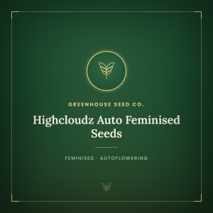 Highcloudz Auto Feminised Seeds Highcloudz Auto Feminised Seeds