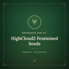 HighCloudZ Feminised Seeds