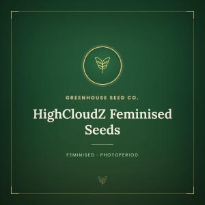 HighCloudZ Feminised Seeds HighCloudZ Feminised Seeds