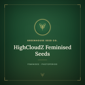 HighCloudZ Feminised Seeds HighCloudZ Feminised Seeds