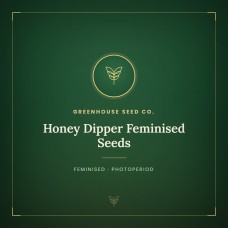Honey Dipper Feminised Seeds