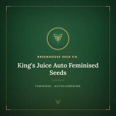 King's Juice Auto Feminised Seeds King's Juice Auto Feminised Seeds