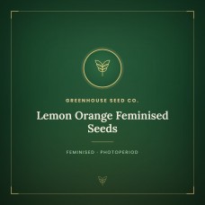 Lemon Orange Feminised Seeds
