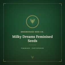 Milky Dreams Feminised Seeds