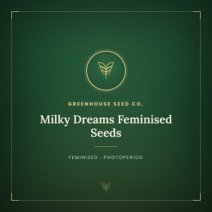Milky Dreams Feminised Seeds