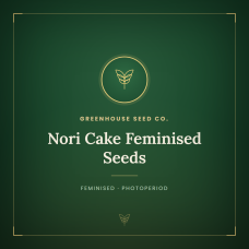 Nori Cake Feminised Seeds