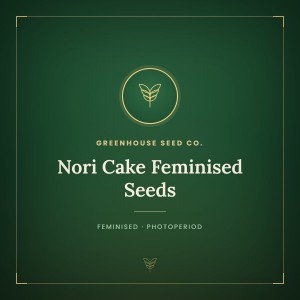 Nori Cake Feminised Seeds