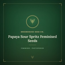 Papaya Sour Spritz Feminised Seeds
