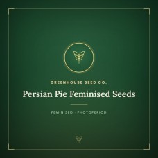 Persian Pie Feminised Seeds