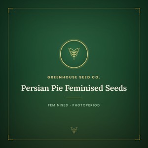Persian Pie Feminised Seeds Persian Pie Feminised Seeds