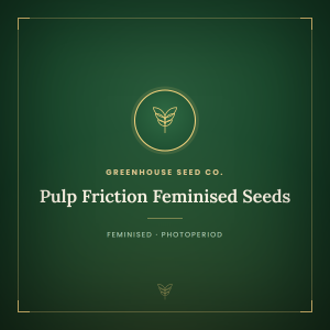Pulp Friction Feminised Seeds Pulp Friction Feminised Seeds