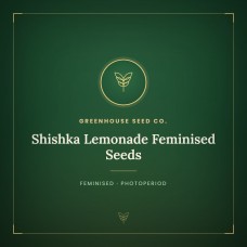 Shishka Lemonade Feminised Seeds Shishka Lemonade Feminised Seeds
