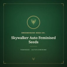 Skywalker Auto Feminised Seeds Skywalker Auto Feminised Seeds