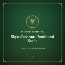 Skywalker Auto Feminised Seeds