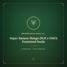 Super Banana Mango (SLH x GMO) Feminised Seeds Super Banana Mango (SLH x GMO) Feminised Seeds
