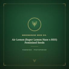 Air Lemon (Super Lemon Haze x RS11) Feminised Seeds Air Lemon (Super Lemon Haze x RS11) Feminised Seeds