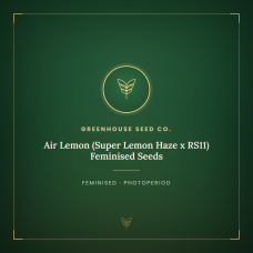 Air Lemon (Super Lemon Haze x RS11) Feminised Seeds Air Lemon (Super Lemon Haze x RS11) Feminised Seeds