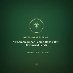 Air Lemon (Super Lemon Haze x RS11) Feminised Seeds