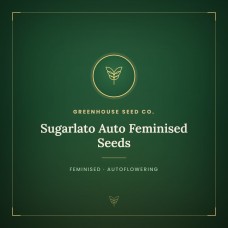 Sugarlato Auto Feminised Seeds Sugarlato Auto Feminised Seeds