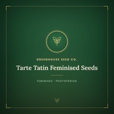 Tarte Tatin Feminised Seeds Tarte Tatin Feminised Seeds