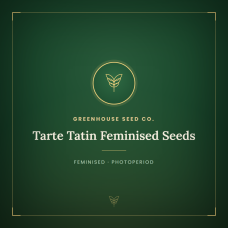 Tarte Tatin Feminised Seeds