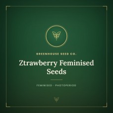Ztrawberry Feminised Seeds Ztrawberry Feminised Seeds