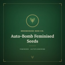Auto-Bomb Feminised Seeds