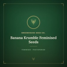 Banana Krumble Feminised Seeds Banana Krumble Feminised Seeds