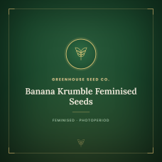 Banana Krumble Feminised Seeds Banana Krumble Feminised Seeds