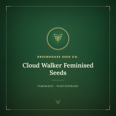 Cloud Walker Feminised Seeds Cloud Walker Feminised Seeds
