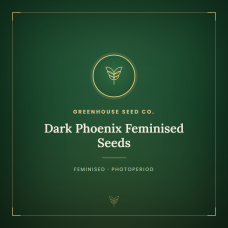 Dark Phoenix Feminised Seeds