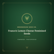 Franco's Lemon Cheese Feminised Seeds