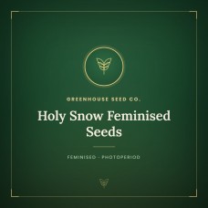 Holy Snow Feminised Seeds Holy Snow Feminised Seeds