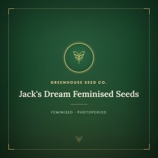 Jack's Dream Feminised Seeds Jack's Dream Feminised Seeds
