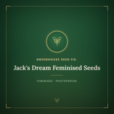 Jack's Dream Feminised Seeds