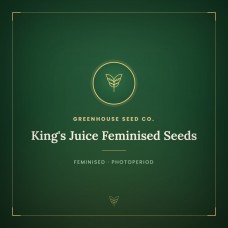 King's Juice Feminised Seeds
