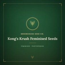 Kong's Krush Feminised Seeds