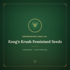 Kong's Krush Feminised Seeds Kong's Krush Feminised Seeds
