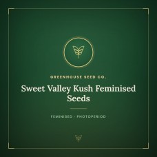Sweet Valley Kush Feminised Seeds Sweet Valley Kush Feminised Seeds