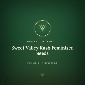 Sweet Valley Kush Feminised Seeds Sweet Valley Kush Feminised Seeds