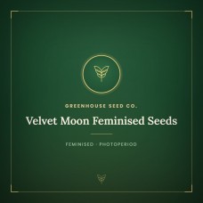 Velvet Moon Feminised Seeds Velvet Moon Feminised Seeds