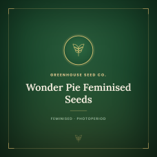 Wonder Pie Feminised Seeds