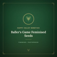 Baller's Game Feminised Seeds Baller's Game Feminised Seeds