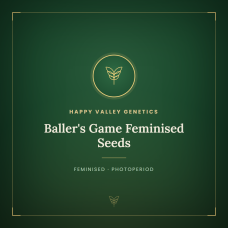 Baller's Game Feminised Seeds Baller's Game Feminised Seeds