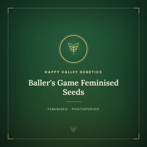 Baller's Game Feminised Seeds Baller's Game Feminised Seeds
