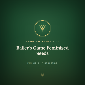 Baller's Game Feminised Seeds Baller's Game Feminised Seeds