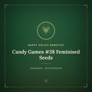 Candy Games #38 Feminised Seeds